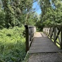 Cornmill Meadows & Wood