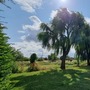 Waltham Abbey Gardens