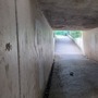 Waltham Abbey Tunnel