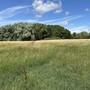 Britannia Meadows