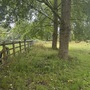 College Meadow