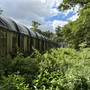 Abandoned Buildings - Former Essex Mill & Factory Site