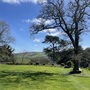 The Old Rectory
