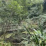 Crystal Palace Park - Secret Garden