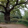 Crystal Palace Park - Dinosaur Island
