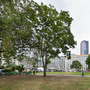 Finsbury Square - Unit Base