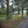Kingston Retreat - Tennis Court