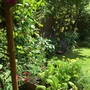 Hackney Home