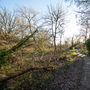 Boston Manor Park