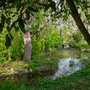 Lloyd Park