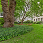 Waterloo Gardens West