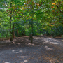 Holland Park - Woodland Area