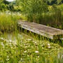 Surrey Country House & Gardens