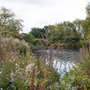 Finsbury Park - Lake
