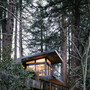 Contemporary Cabin in Wooded Mill Valley