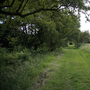 Arts and Crafts House - Stables and Grounds