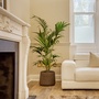 Sloane Square Flat